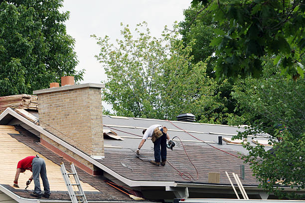 Best Roof Gutter Cleaning  in Union City, NJ