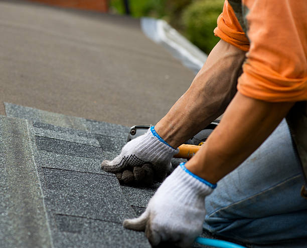 Best Storm Damage Roof Repair  in Union City, NJ